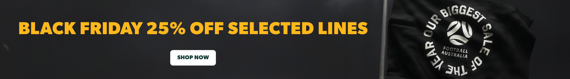 Cyber Sales Thin Banner