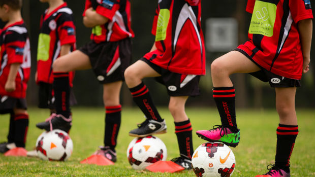 MiniRoos