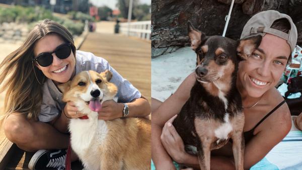 Happy #InternationalDogDay, put yourself to the test on our Tillie's four-legged friends! 