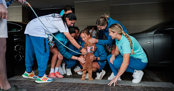 Happy #InternationalDogDay, put yourself to the test on our Tillies' four-legged friends! 