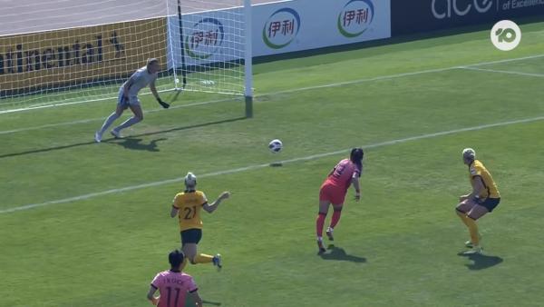 SAVE: Williams - Matilda keeper indestructible 