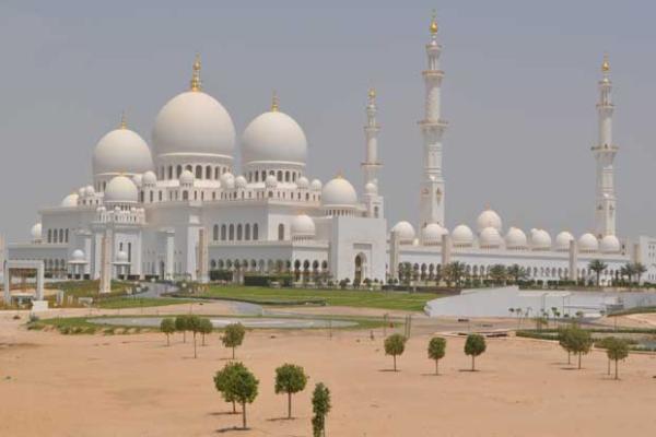 Pararoos in Abu Dhabi